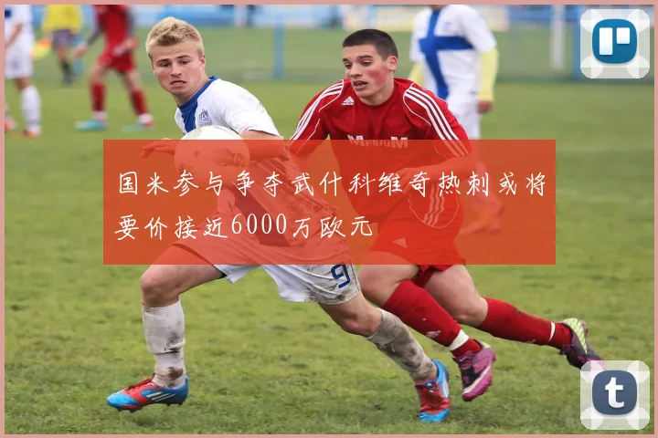 国米参与争夺武什科维奇热刺或将要价接近6000万欧元