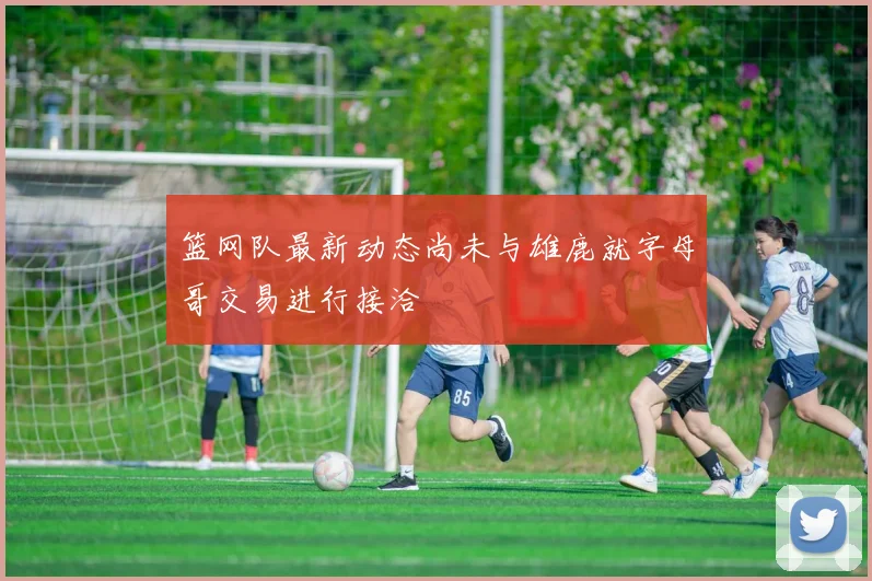 篮网队最新动态尚未与雄鹿就字母哥交易进行接洽