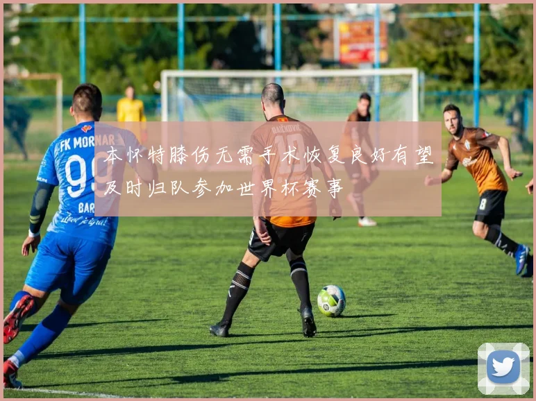 本怀特膝伤无需手术恢复良好有望及时归队参加世界杯赛事