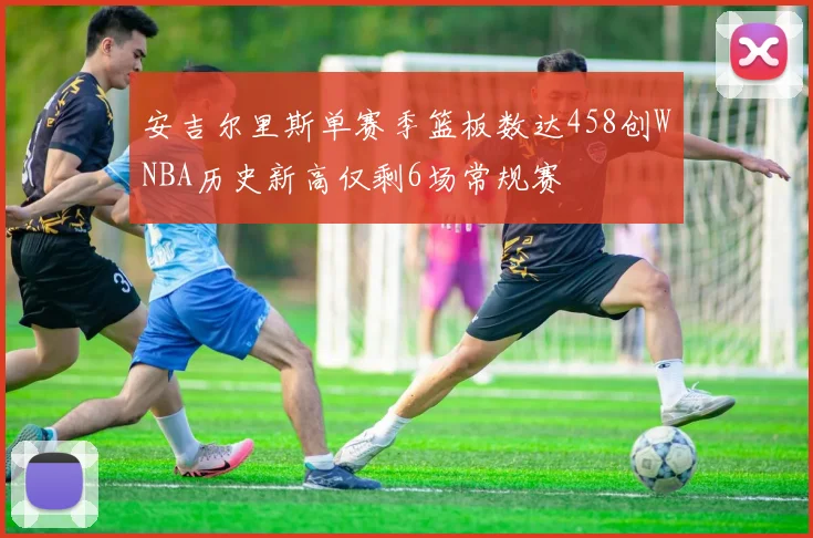 安吉尔里斯单赛季篮板数达458创WNBA历史新高仅剩6场常规赛